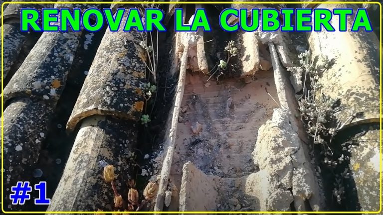 Teja Vieja Precio: La Guía Definitiva para No Perder Dinero en Tu Compra